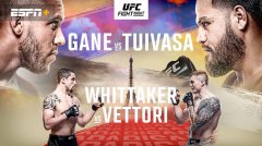 UFC格斗之夜：盖恩VS图瓦萨赛事前瞻