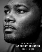 前UFC冠军挑战者安东尼-约翰逊因病去世